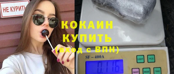 тгк Абаза