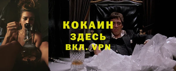 тгк Абаза