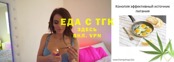 тгк Абаза