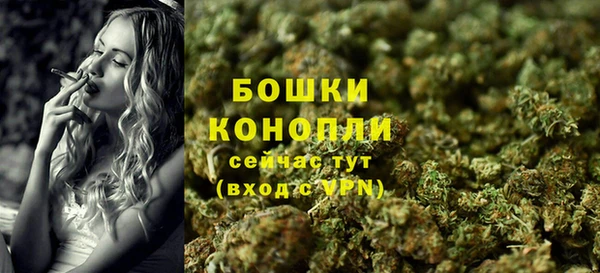 крисы Магадан