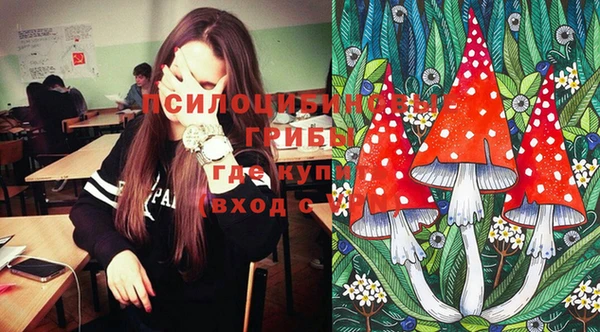 бошки Абинск