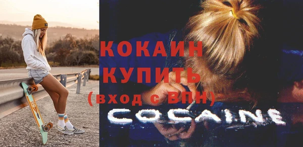 тгк Абаза