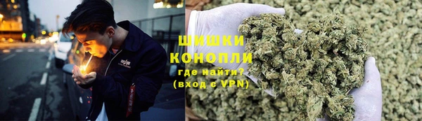 крисы Магадан