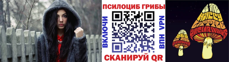 Галлюциногенные грибы мицелий закладки Пудож