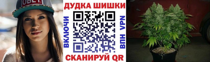 Канабис семена  MEGA как войти  Пудож 